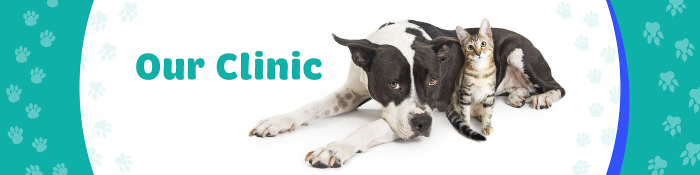 clinic clinic