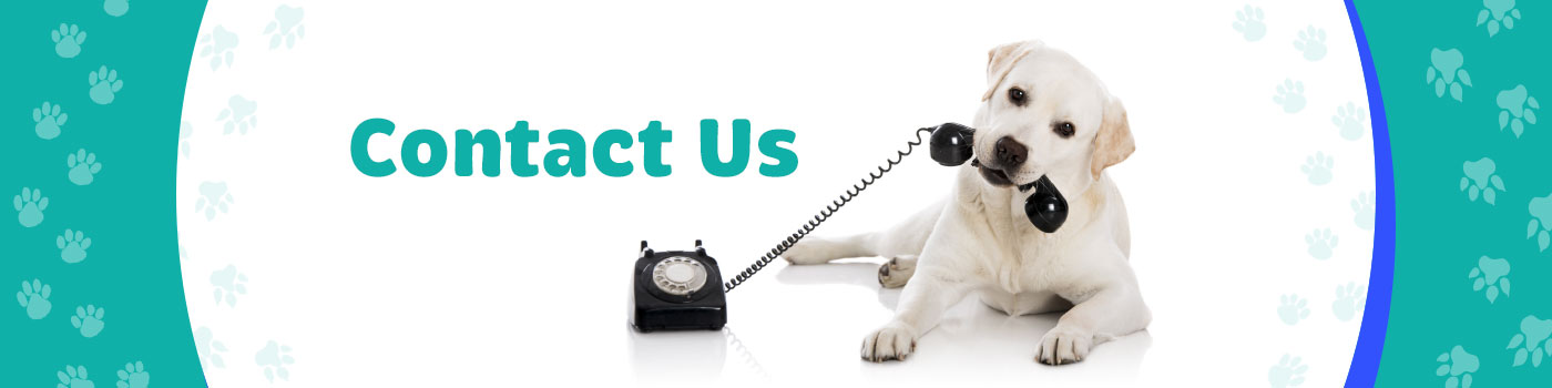 contact us