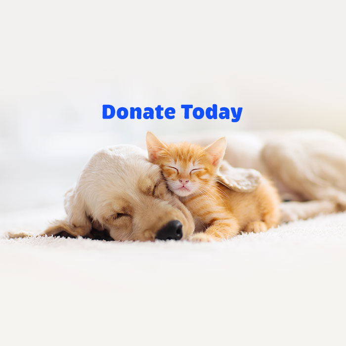 Donate Today Donate Today