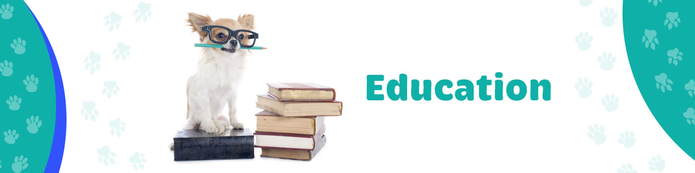 education education