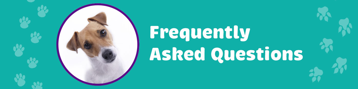 faq faq