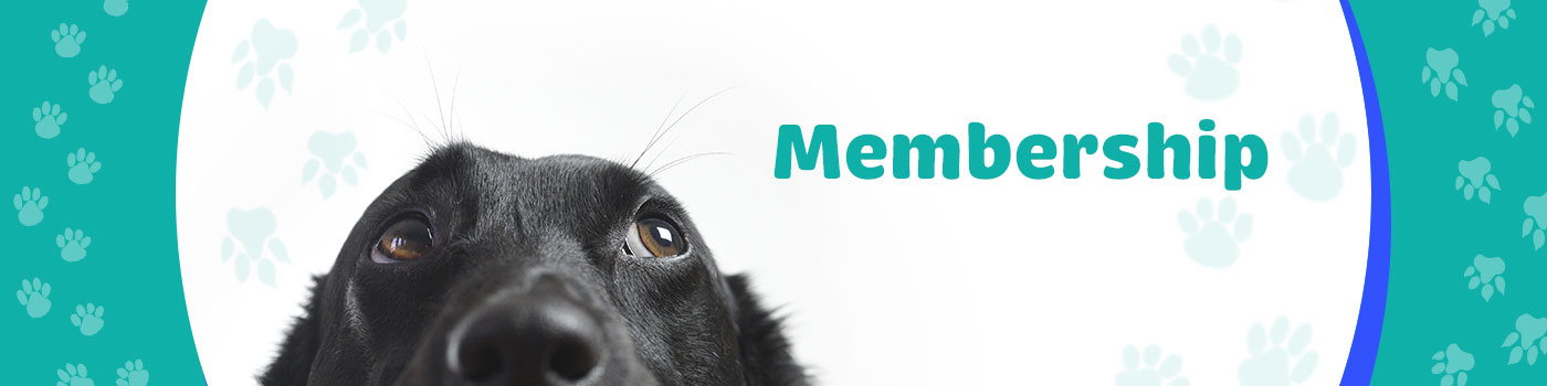 membership membership