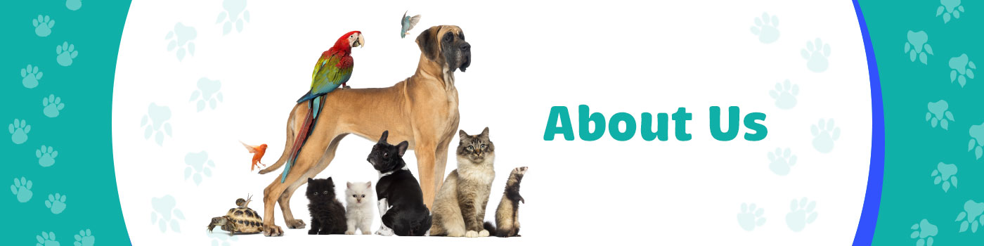 About About