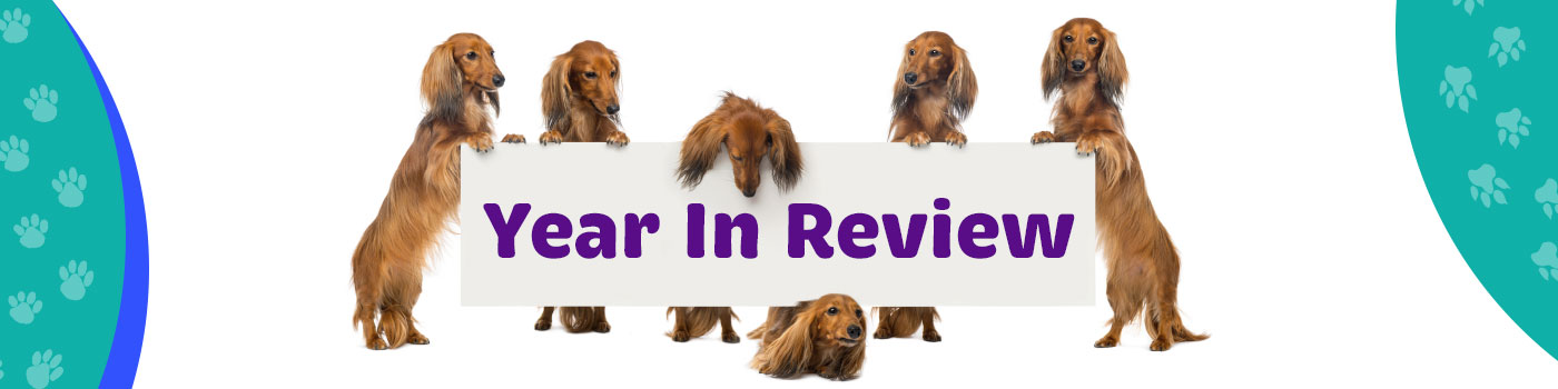 Year in review
